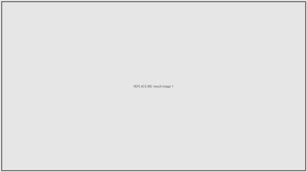 result placeholder 1