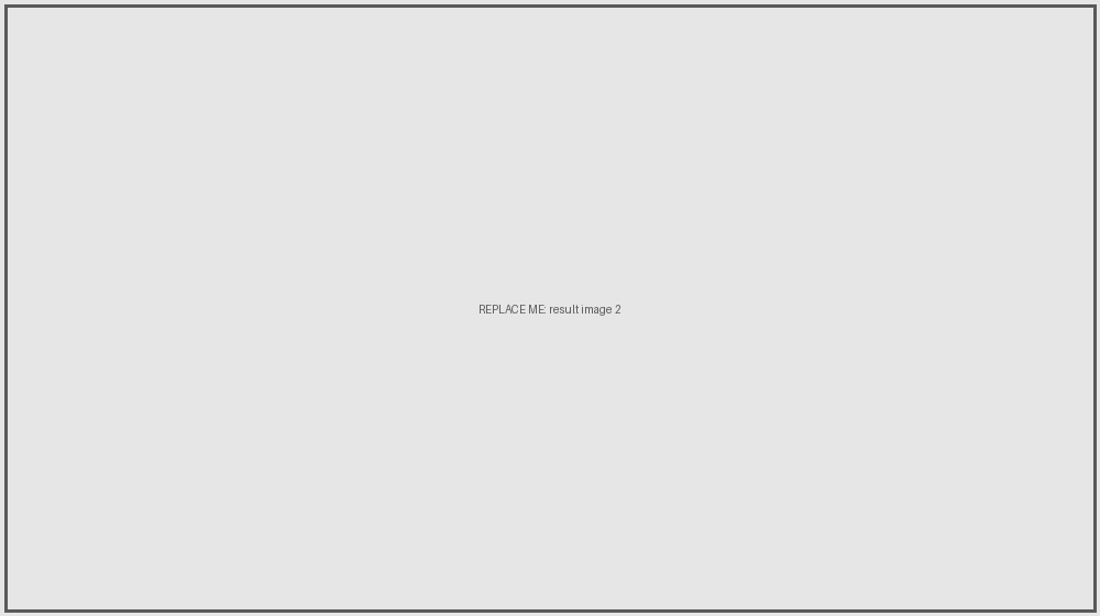 result placeholder 2